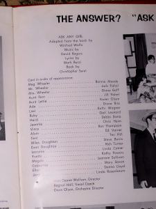 Cast list from Ask Any Girl.